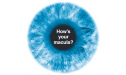 Macular Degeneration - Everything You Need To Know